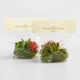 6 Piece Faux Succulent and Moss Assortment Set of 2 Packs: Green by World Market