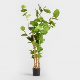5 Ft Faux Eva Sea Grape Plant: Green by World Market